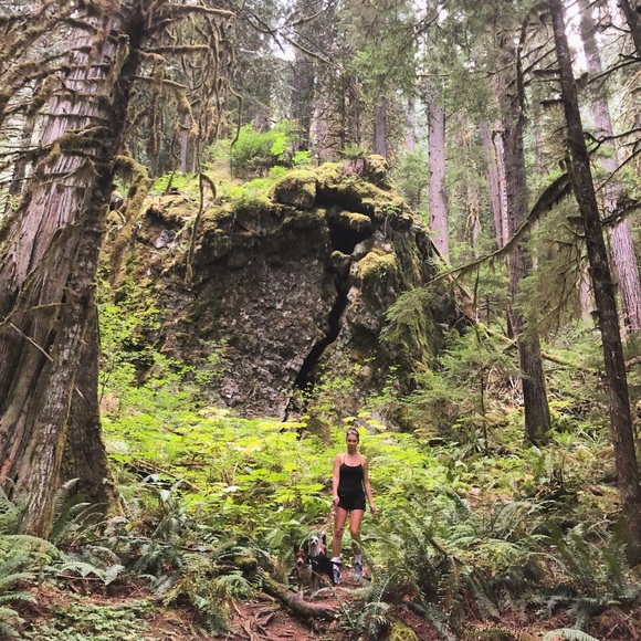 Meet your Posher, Dasha - Picture 2 of 2